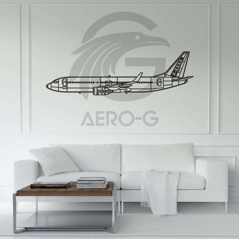 737-800 personnalisable