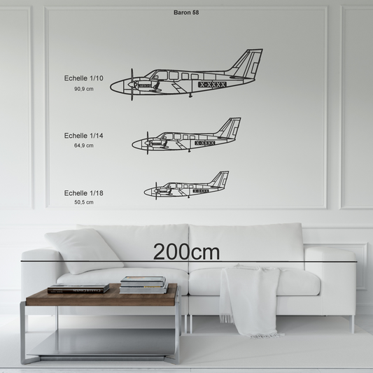 Beechcraft Baron 58 personnalisable