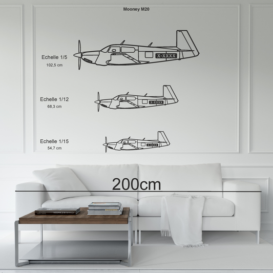 Mooney M20 personalisable
