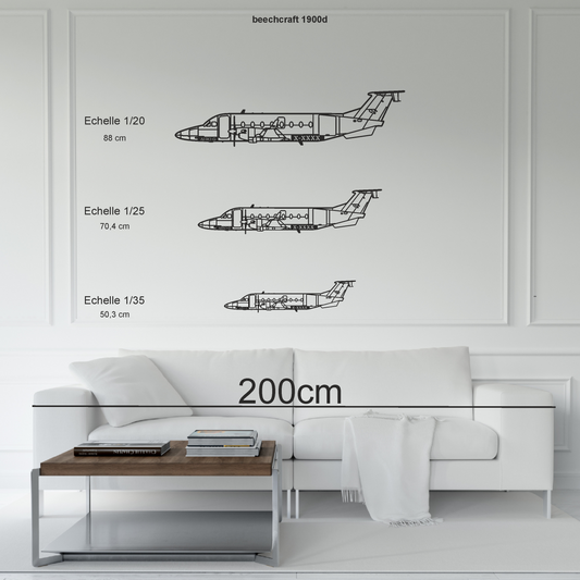 Beechcraft 1900d personnalisable