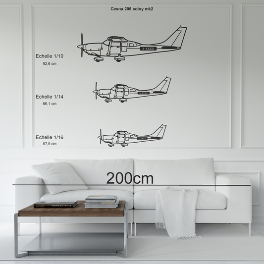 Cessna 206 soloy MK2 personnalisable