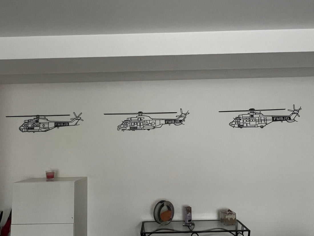 Silhouette d'avion : L'élégance de votre passion pour l'aéronautique