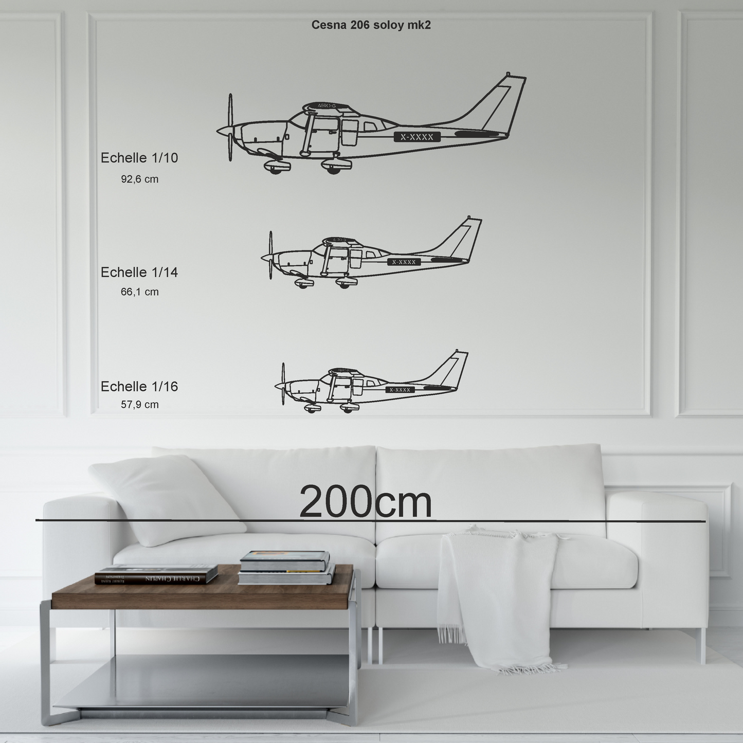 Cessna 206 soloy MK2 personnalisable